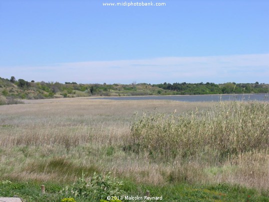 "Etang de Vendres" & "The Temple of Venus"