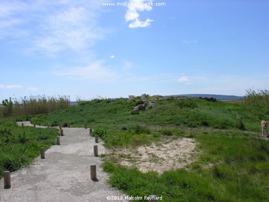 "Etang de Vendres" & "The Temple of Venus"