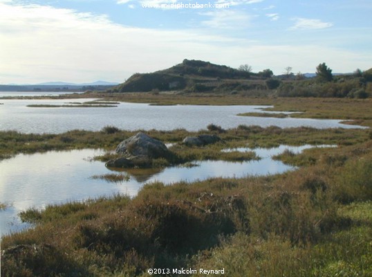 Etang de Bages, just south of Narbonne