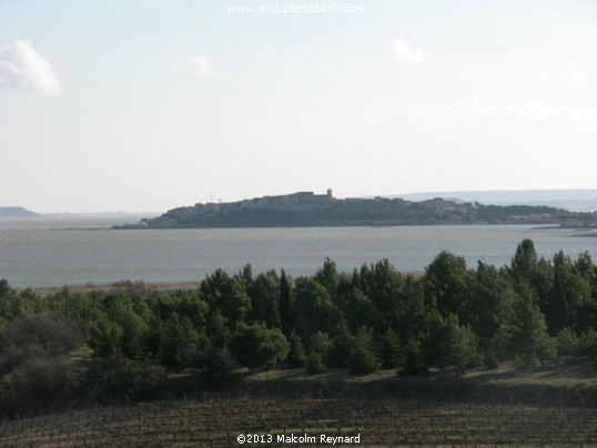 Etang de Bages, just south of Narbonne