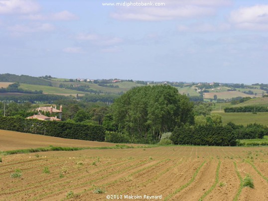 The rolling Lauragais Hills