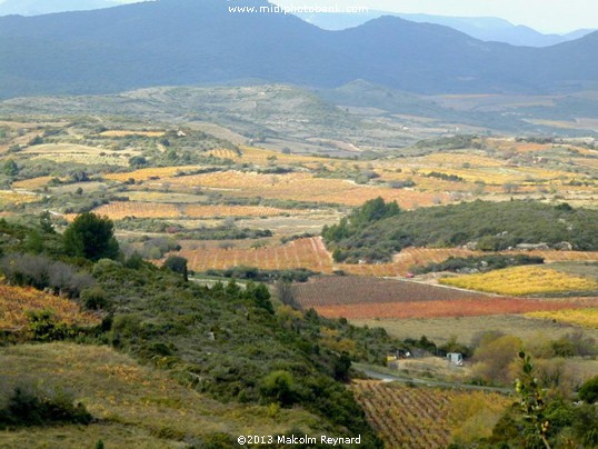 The last of the Autumn Vines in the Languedoc