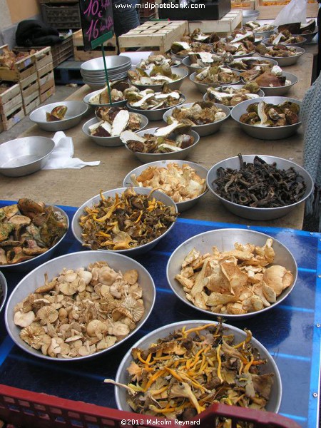 Autumn Market in Béziers