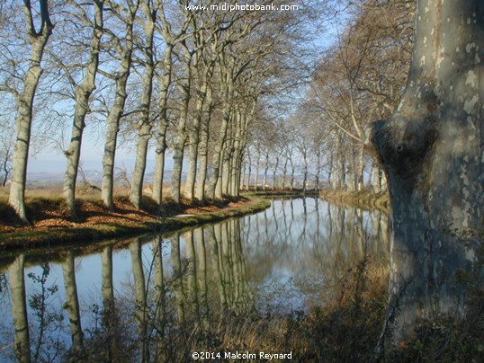 Mid Winter on the Canal du Midi