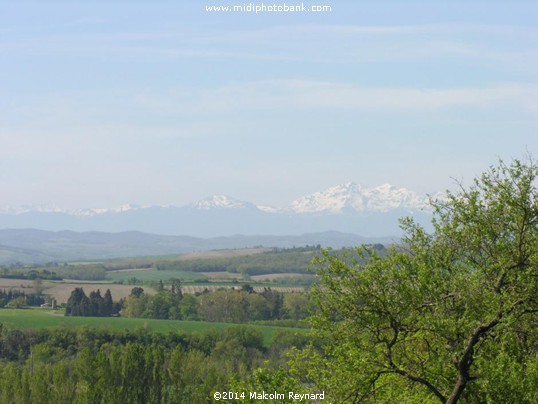  Springtime near The Pyrenées Mountains 