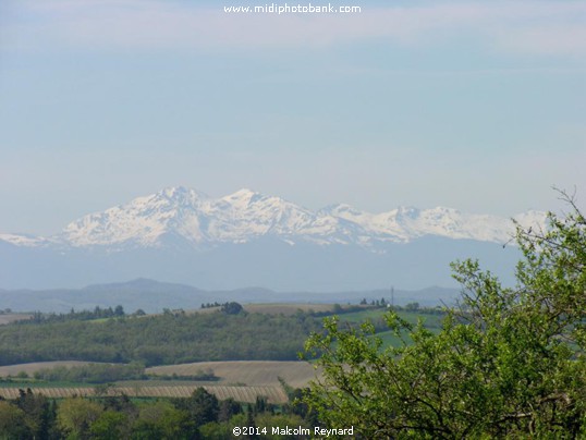  Springtime in The Pyrenées Mountains 