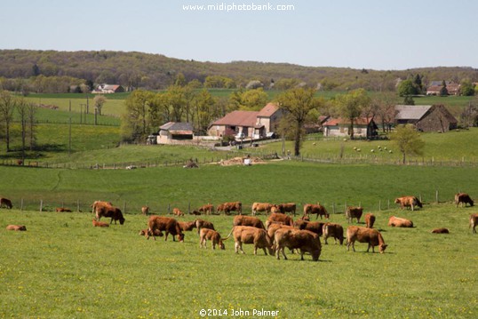 Aire du Jardin des Causses du Lot - A20 Autoroute