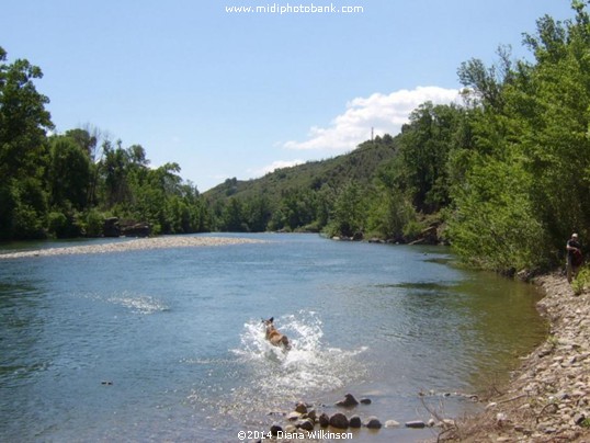 The River Orb in the Languedoc