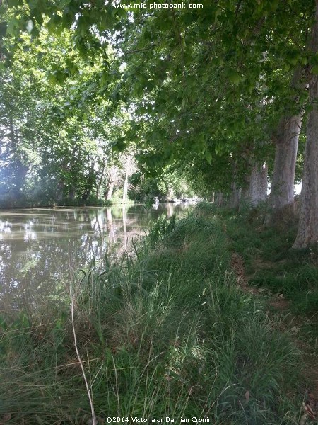 Canal du Midi