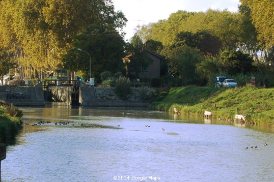 Midi Canal ― Wildlife