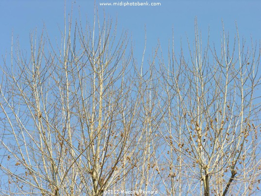 The Béziers Blue Sky