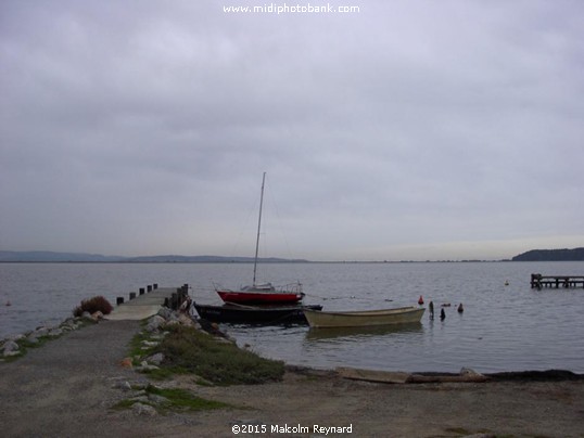 The Etang de Bages