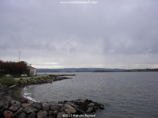 The Etang de Bages