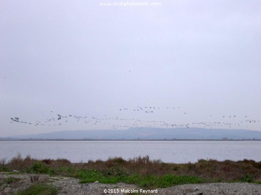 The Etang de Bages