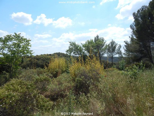 A Secret in a Valley in the Haut Languedoc