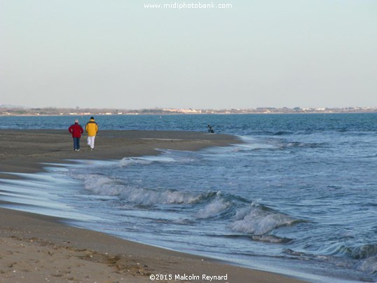 Autumn - Sérignan Plage