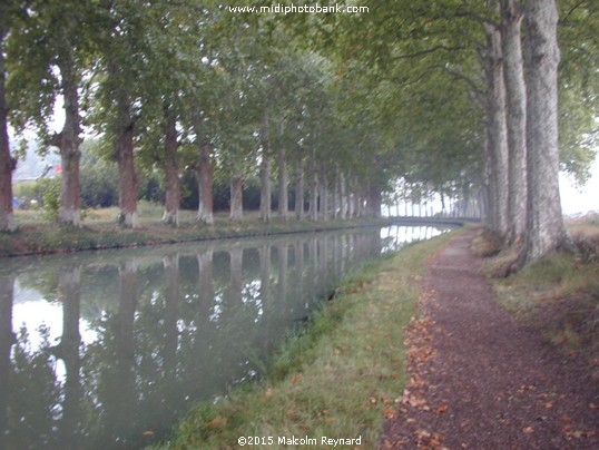 Autumn - Canal du Midi