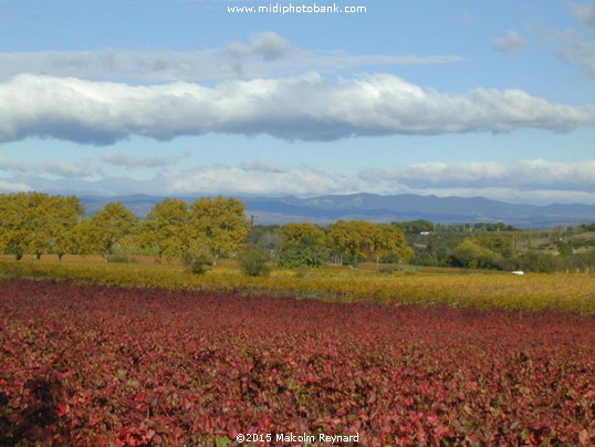 Autumn in the "Midi"