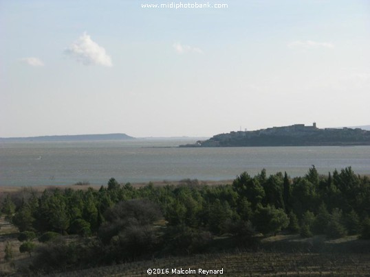 Corbières - étang de Bages