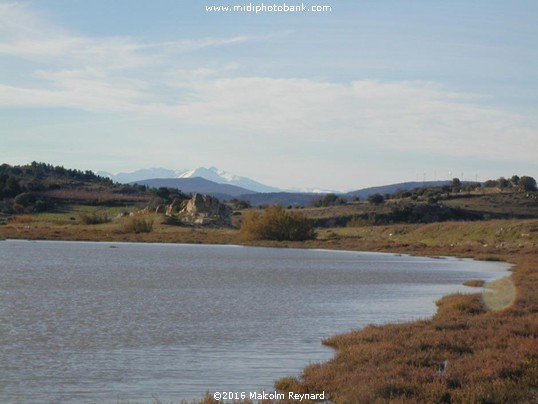 Corbières - étang de Bages