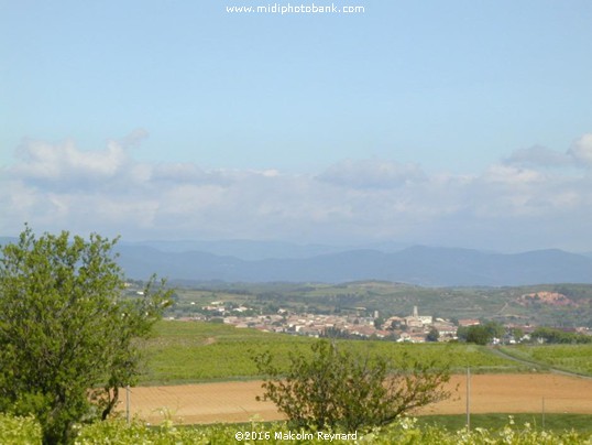 Spingtime near Béziers