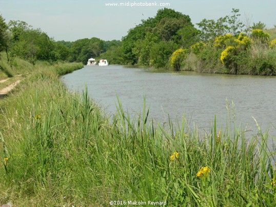 Midi Canal - Pigasse "Toll Point"