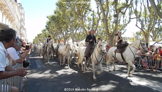 Féria de Béziers - 2016