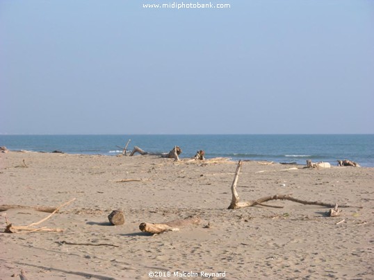 Sérignan Plage