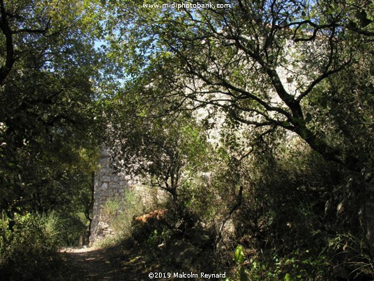 The Minervois Hills .......