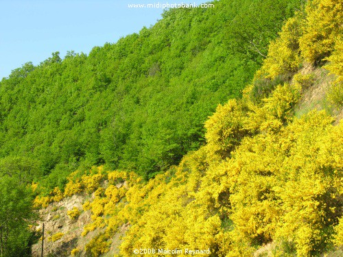 AVEYRON - Le Ségala