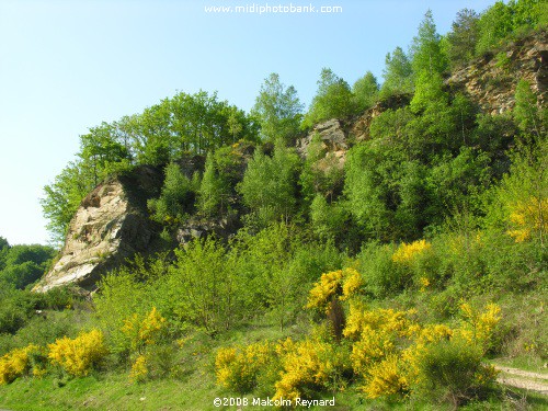 AVEYRON - Le Ségala