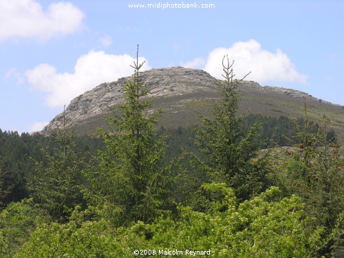 Haut Languedoc Regional Park