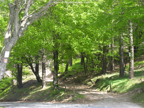 Haut Languedoc Regional Park