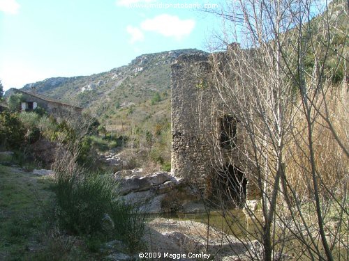 Corbières Hill Walking