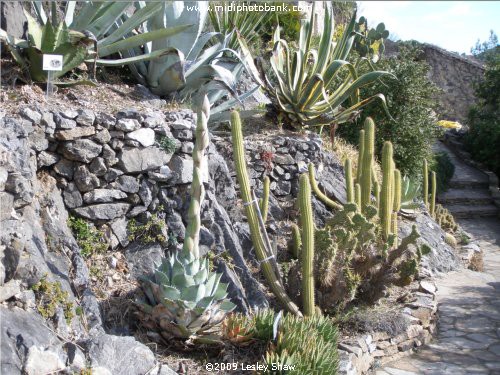 Roquebrune - "Mediterranean Gardens"