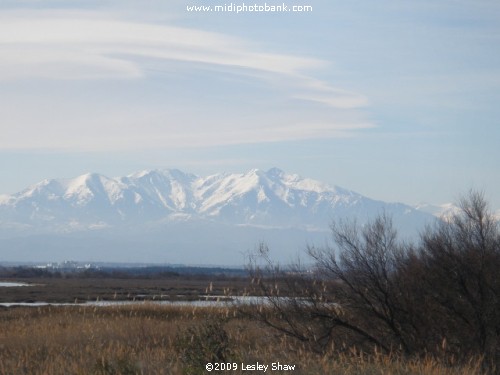 Mount Canigou in the Pyrenées