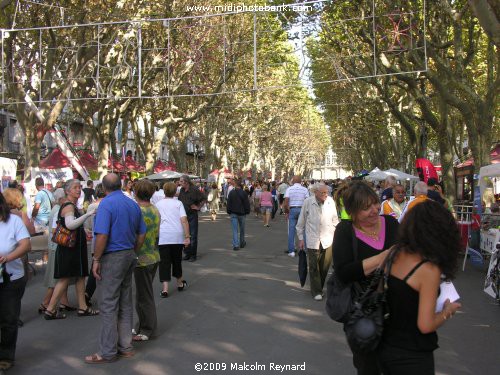 Béziers - "Les Associations Font Les Allées"