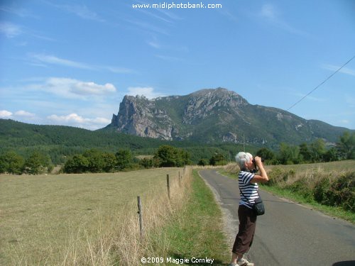 Bird watching in the Corbières