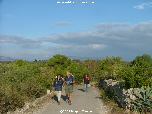 Walking in the Corbières