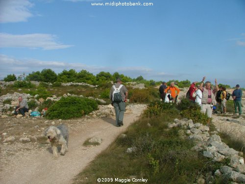 Walking in the Corbières