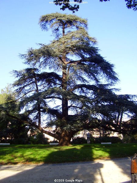 Le Plateau des Poètes