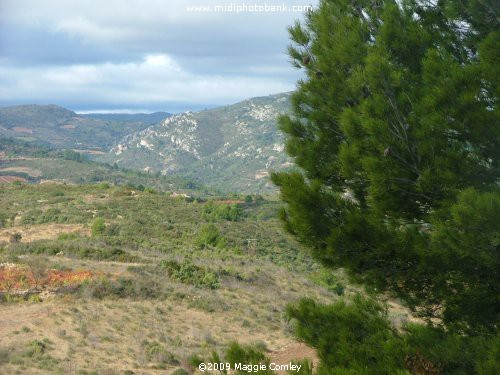 Walking in the Corbières