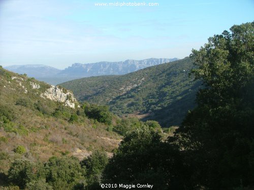 New Years Walk in the Corbières Hills