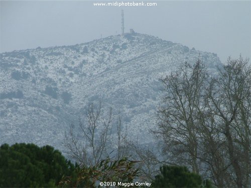 Corbières in the Snow