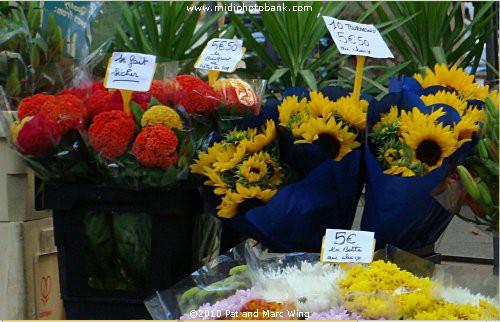 Béziers Flower Market