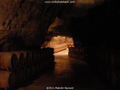 A Corbières experience - "Terra Vinea"