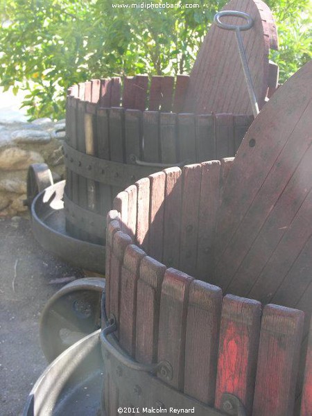 Vines and Wine Presses