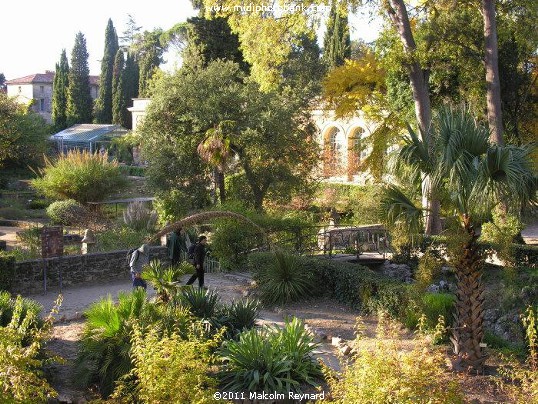 Montpellier - "Jardin des Plantes"