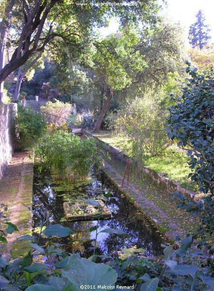 Montpellier - "Jardin des Plantes"