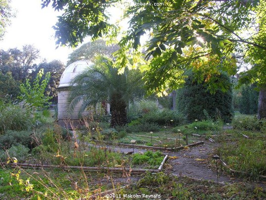 Montpellier - "Jardin des Plantes"